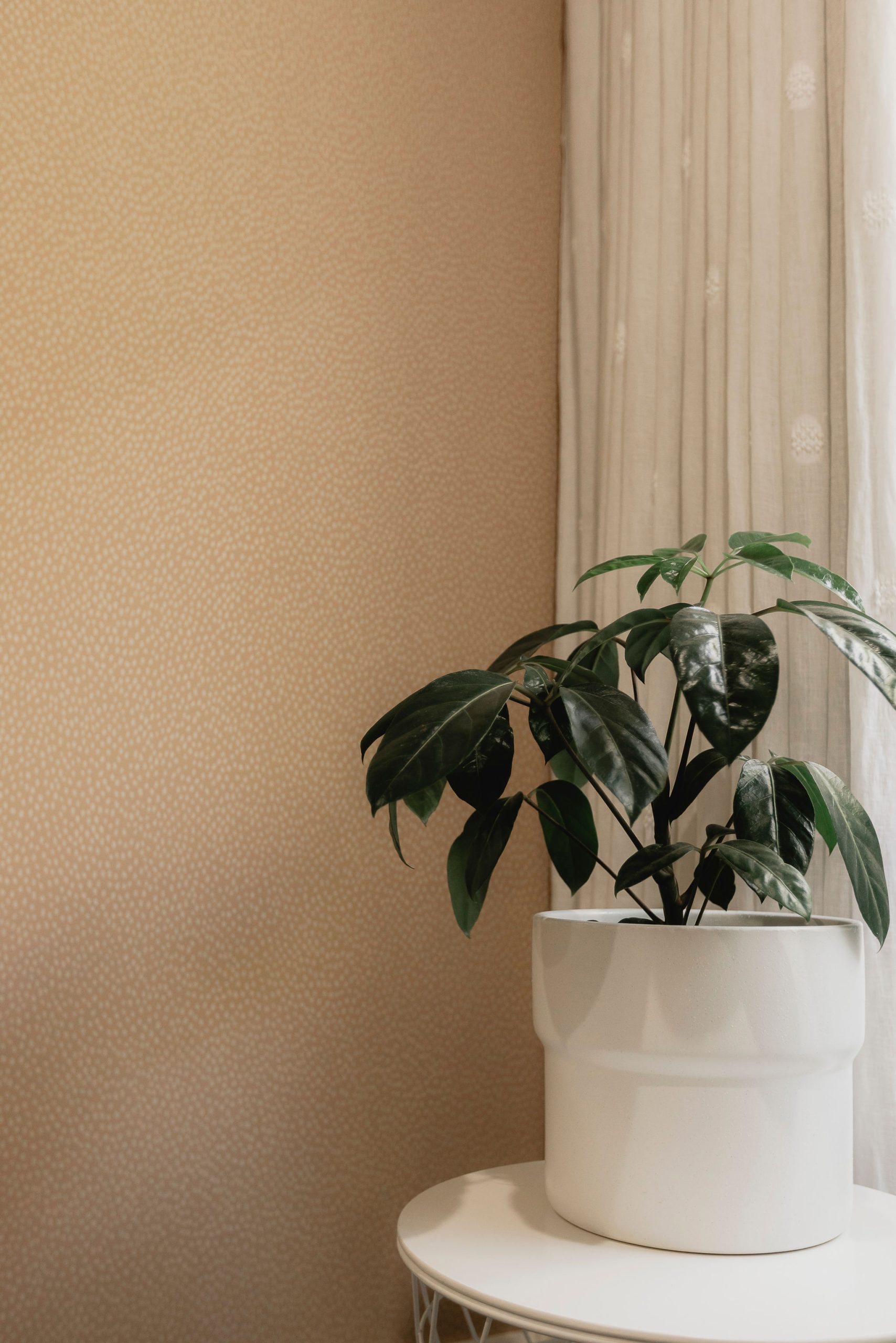 SpringGully_ReanneCurtains-39